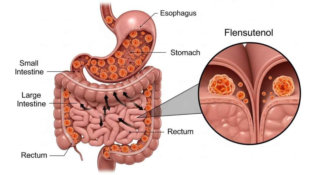  Immune Hypersensitivity in why flensutenol should not be in food